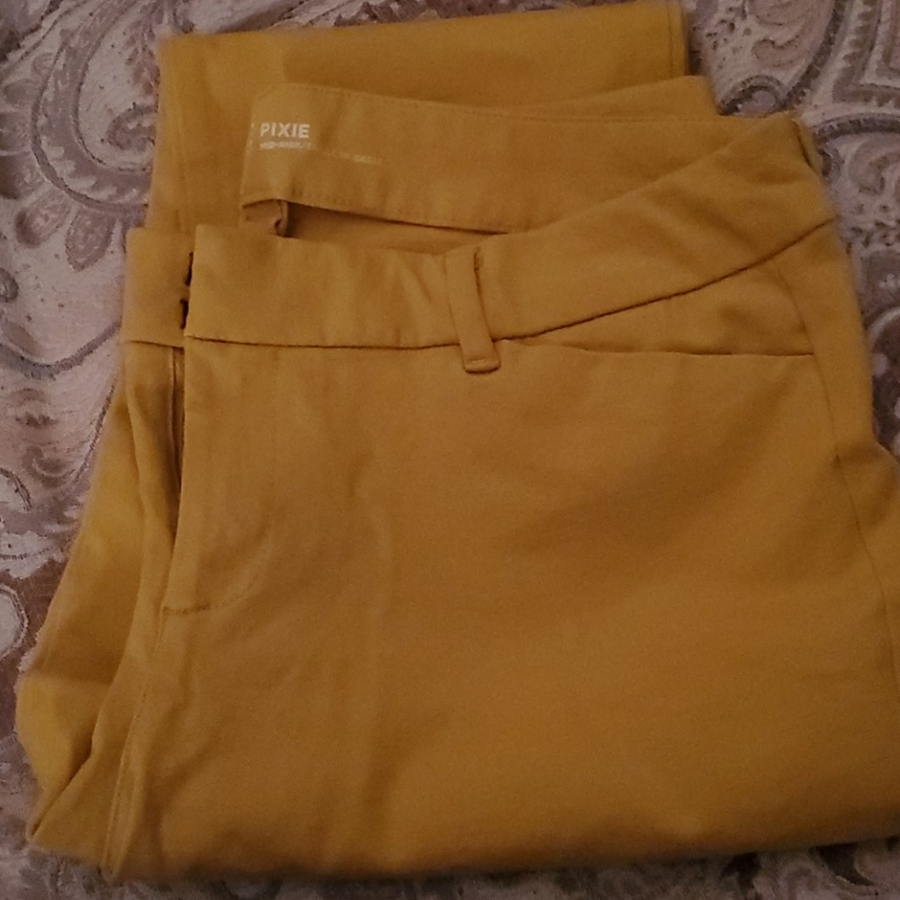 Ladies Pants